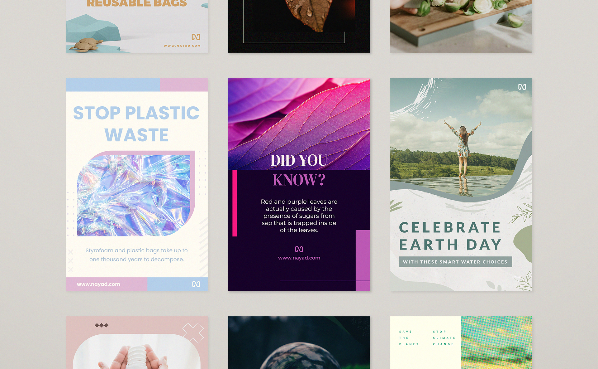 Pinterest posts presenting fun facts, blog posts, and recipes.